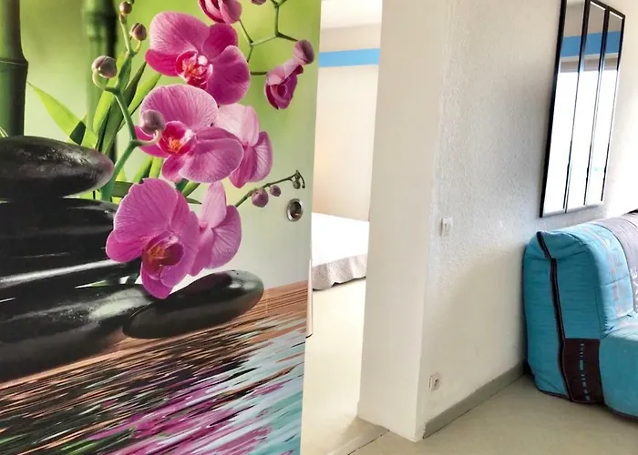 Apartment Barcaresa-appartement Belle Vue Piscine Tennis Mini Golf Wifi Le Barcares